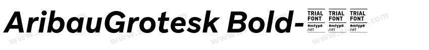 AribauGrotesk Bold字体转换